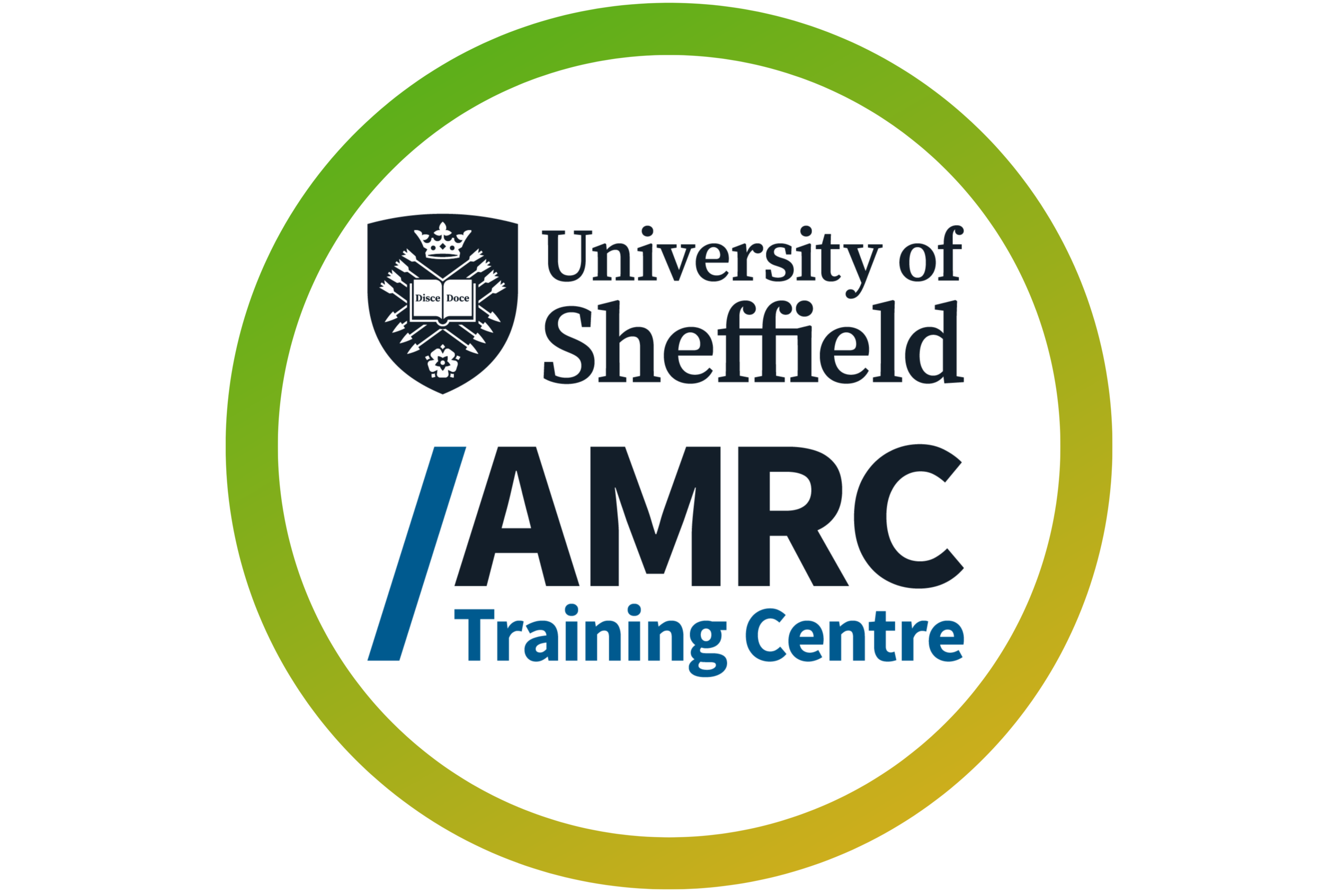 University of Sheffield